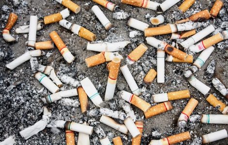 megot cigarette