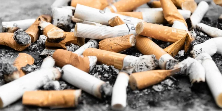 comment collecter recycler megots cigarette